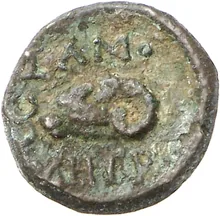 coin rev
