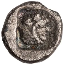 coin rev