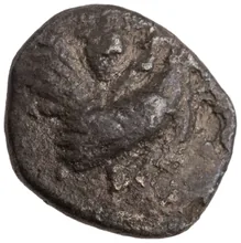 coin obv