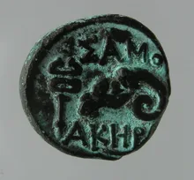 coin rev