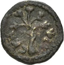 coin rev