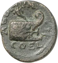 coin rev