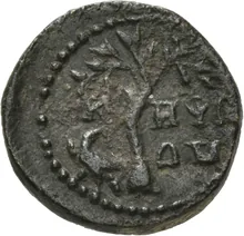 coin rev