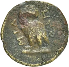coin rev