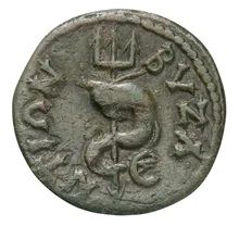 coin rev