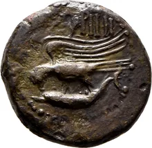 coin rev