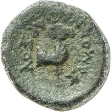 coin rev