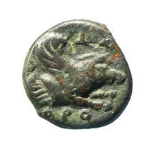 coin rev