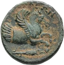 coin rev