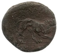 coin rev