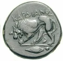 coin rev