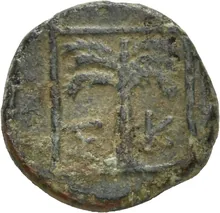 coin rev