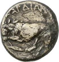 coin rev