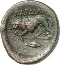 coin rev
