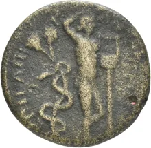 coin rev