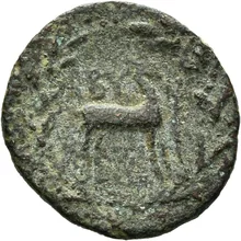 coin rev