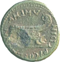 coin rev