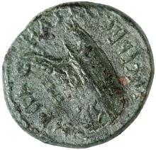 coin rev