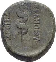 coin rev