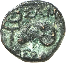 coin rev