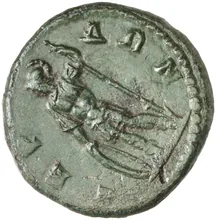 coin rev