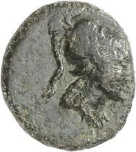 coin obv