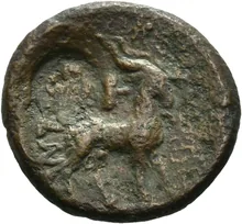 coin rev