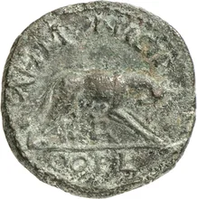 coin rev