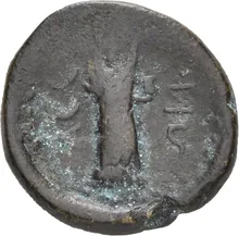 coin rev