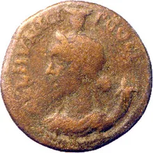 coin rev