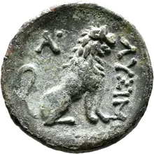 coin rev