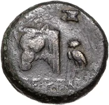 coin rev