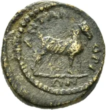coin rev