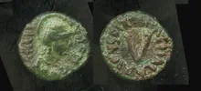 Аталарих rev