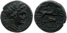 coin rev