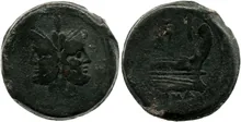 coin obv