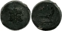 coin rev