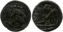 coin rev