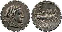 coin rev