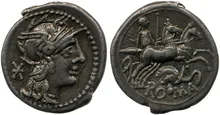 coin rev