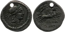 coin rev