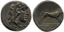 coin rev