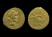 coin rev