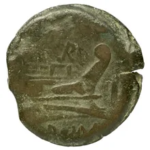 coin rev