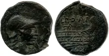 coin rev