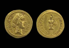coin rev