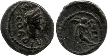coin rev