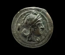 coin rev