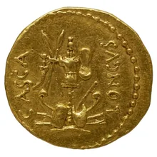 coin rev