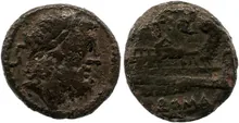 coin rev